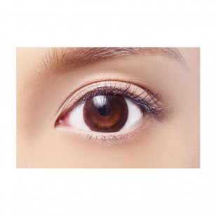  Candy Magic Beginner Chocolate 1-Day 10片裝